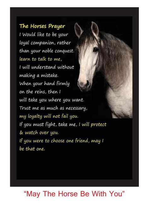 prayer for a horse