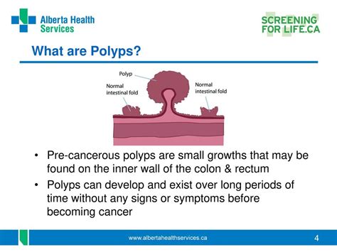 Understanding Pre-Cancerous Polyps: What You Need to Know to Reduce Your Cancer Risk