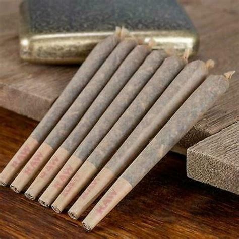 unabiscbd.org:pre rolled joint papers