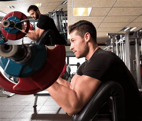 preacher curl vs normal curl