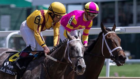 preakness picks by the experts