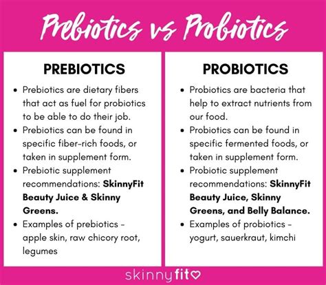 prebiotic vs probiotic difference