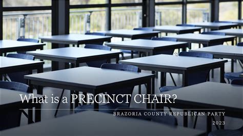 Precinct Chair Definition