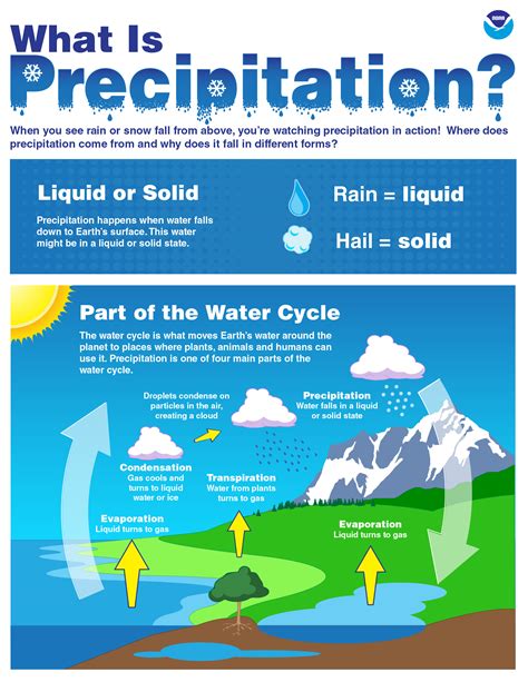 precipitation definition science water cycle