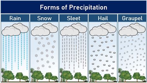 precipitation forms
