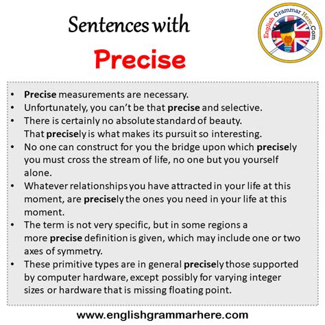 Precise Language Examples Sentences