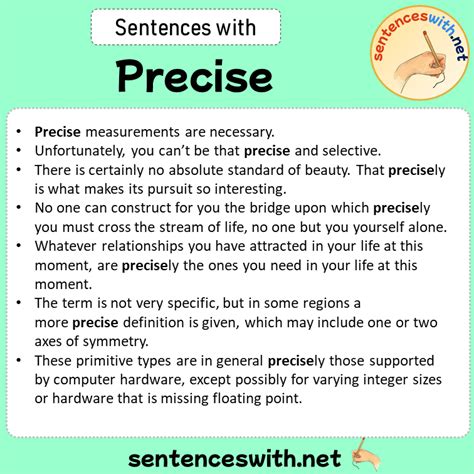 Precision Example Sentence