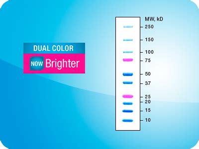 precision plus dual color