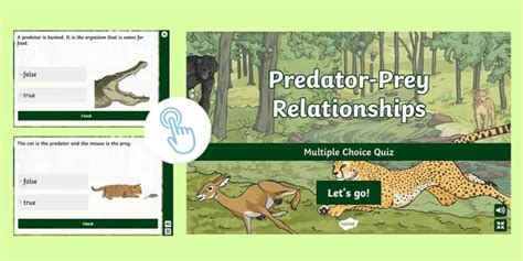 Predator Prey Quiz Printable