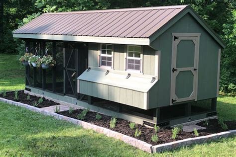 Predator Proof Chicken Coops