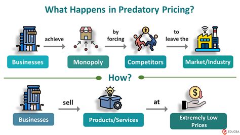 Exposing Predatory Pricing Tactics: What You Need to Know