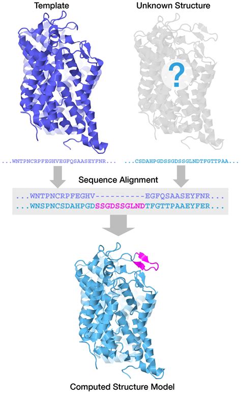 Predict 3D Structure Of Protein From Sequence