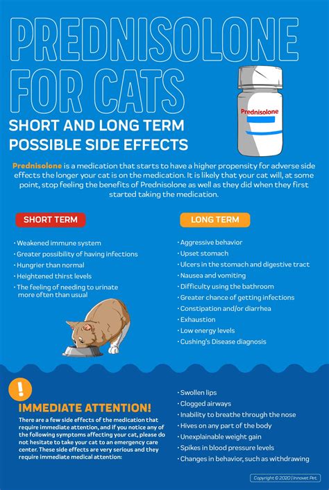 prednisone for cats with asthma