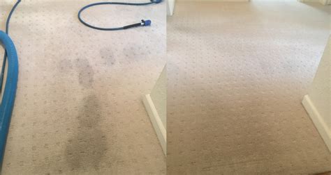 preferred carpet cleaning