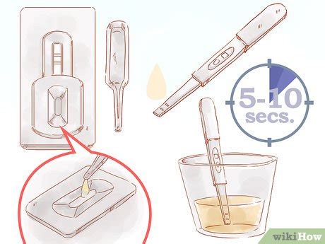 Pregnancy Test Quora