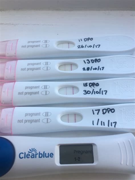 Pregnancy Test Weeks Indicator Cvs