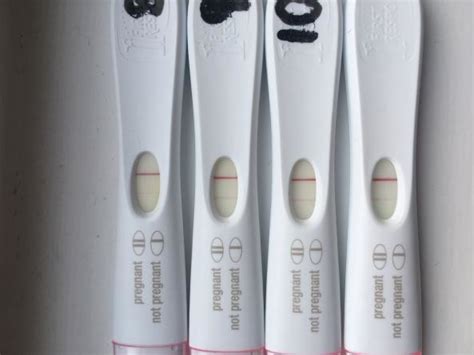 Pregnancy Tests Getting Darker But Bleeding