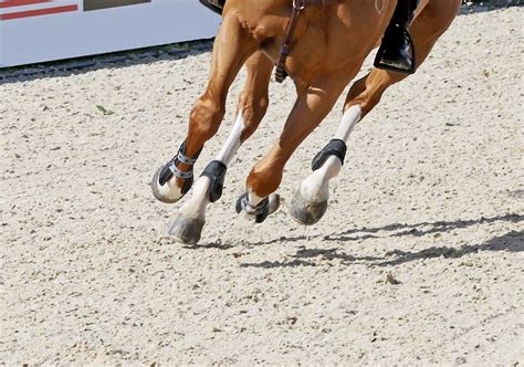 Premier Equestrian Footing