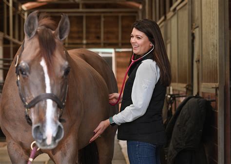 Premier Equine Veterinary