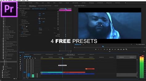 premiere pro free presets