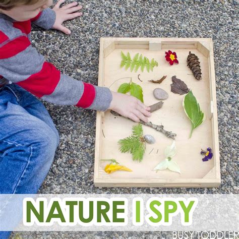 Preschool Nature Exploration