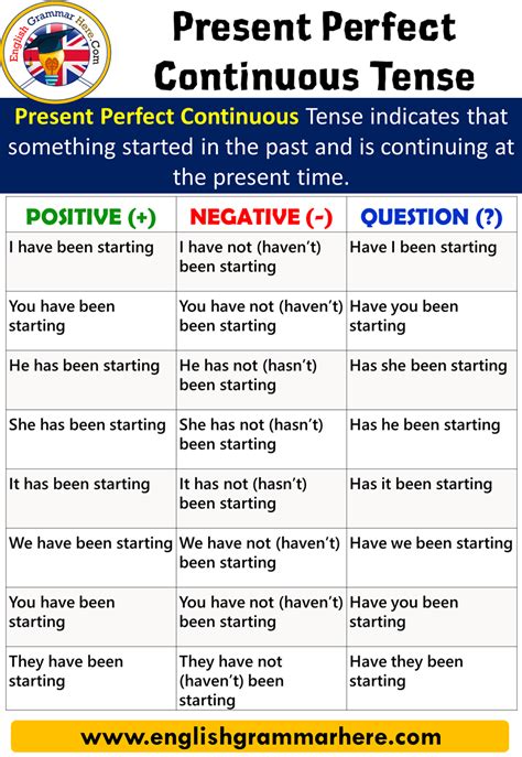 present perfect continuous tense examples question