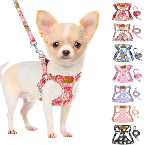 Present Pet Dog Harness