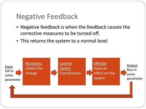 presentation negative feedback examples