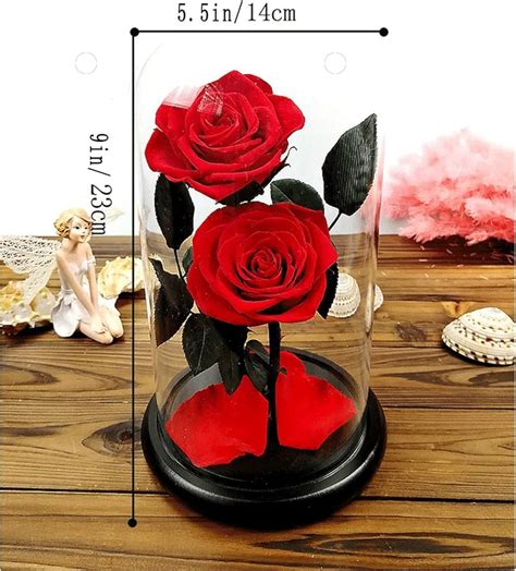 Preserved Rose Keepsake Gift