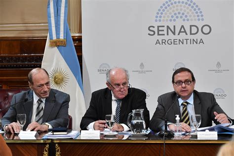 presidente del senado argentina