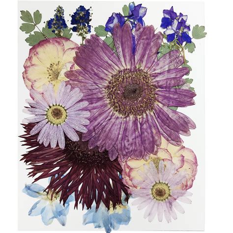 Pressed Dried Flowers Bulk
