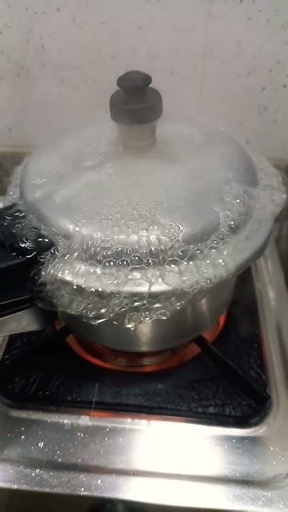Pressure Cooker Overflow