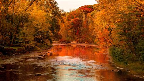 Discover the Most Stunning Pretty Fall Pictures That Will Brighten Your Day