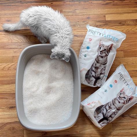 pretty kitty litter reviews consumer reports