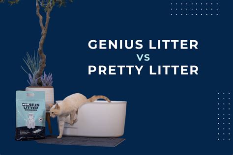 Pretty Litter Cost Vs Regular