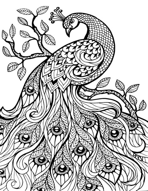 Pretty Pictures Coloring Book