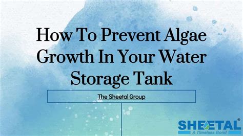 prevent algae