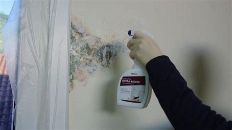 prevent surfactant leaching in paint