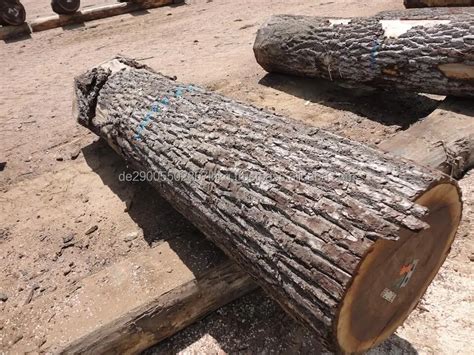 Price For Walnut Logs