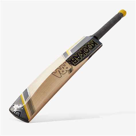price of cricket bat