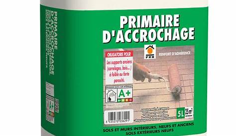 Primaire Daccrochage Pour Bois Lasure PAREXLANKO D'accrochage épais 163 Omnisol