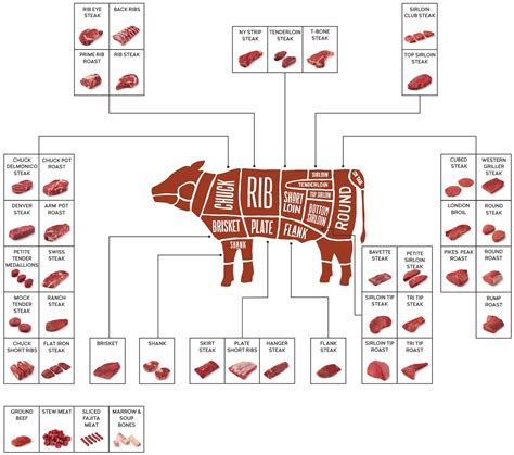 Master the Art of Primal Beef Cuts: A Guide to Perfect Meat Selection