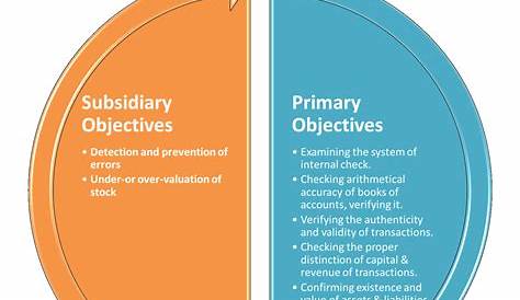 OBJECTIVES OF AUDIT | PRIMARY AND SECONDARY OBJECTIVES - BUSINESS STUDY
