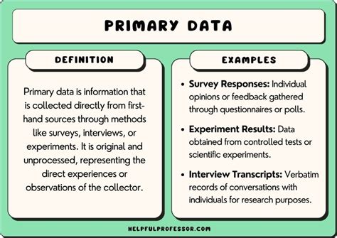 primary data examples
