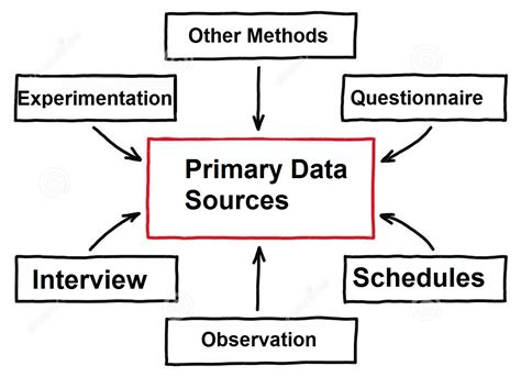 primary data sources may include interviews observations from the field