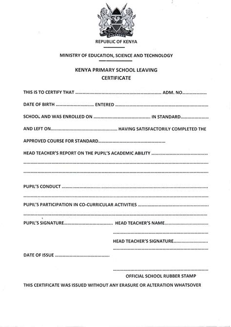 primary leaving certificate template