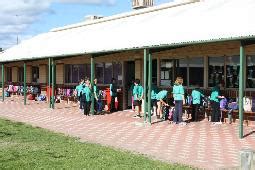 primary schools in ellenbrook