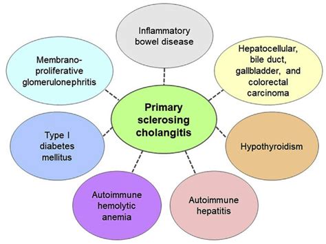 primary sclerosing cholangitis associated with ibd