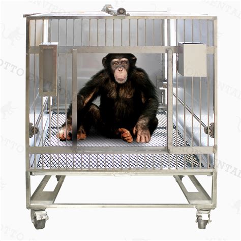 Primate Squeeze Cage