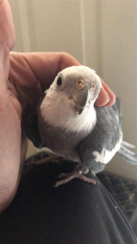 Prime Video Benefits: Unlock Exclusive Perks and Savings Today